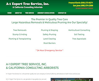 Tree Removal Fresno