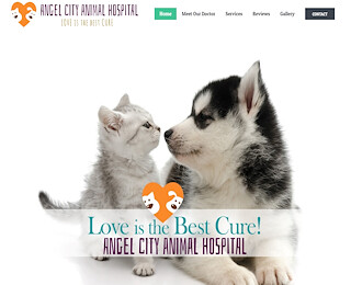 angelcityvet.com