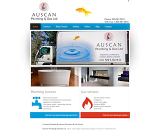 auscanplumbingandgas.com