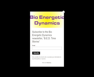 bioenergeticdynamics.com