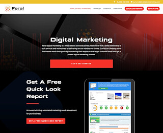 feraldigitalmarketing.com