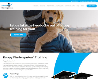 puppykindergarten.com