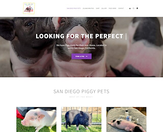 sandiegopiggypets.com