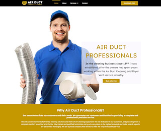 air-duct-professionals.com