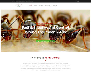 Ant exterminator services