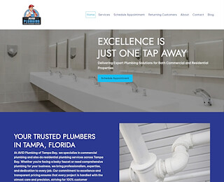 avidplumbers.com