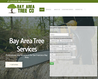 Bay Area tree removal