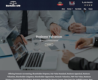 bizvalueltd.com