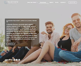 blueviewrecovery.com