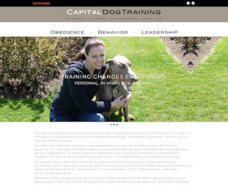 capitaldogtraining.com