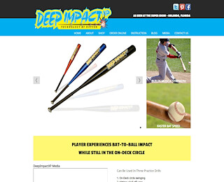 Baseball Training Bat