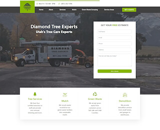 diamondtreeexperts.com