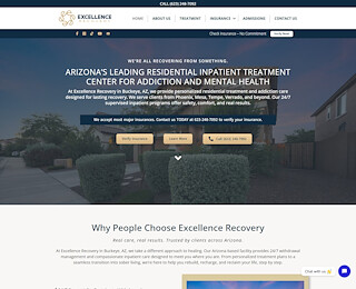 excellencerecovery.org