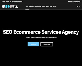 Shopify Seo Agency