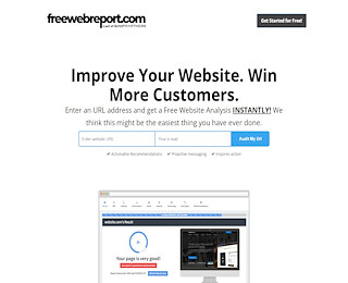 Free Website Report