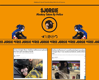 Jorgie Monkey Story