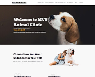 mvsanimalclinic.com