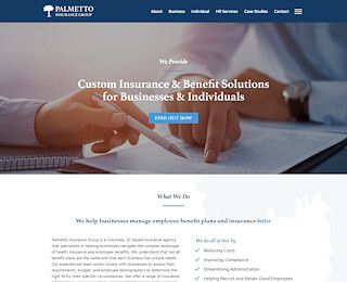 palmettoinsurancegroup.com