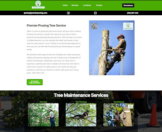 Tree Removal Louisville Ky