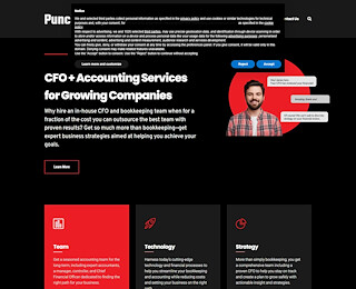 punchfinancial.com