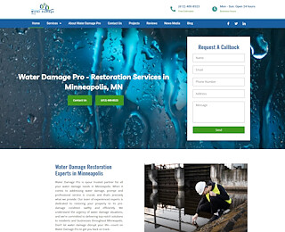 repairdamagepro.com