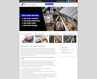 Rain Gutter Installation