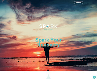 sparkrecovery.com