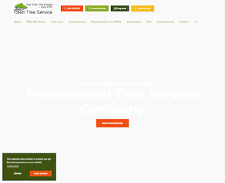 Stump Grinding Services Wilmington