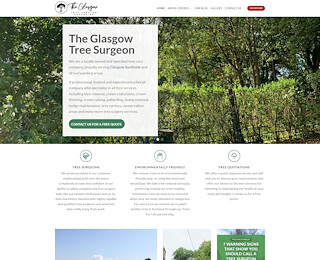 timbertreesurgeon.co.uk