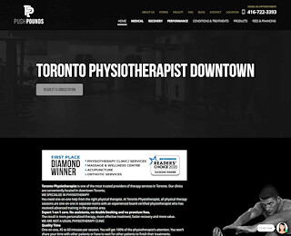 torontophysiotherapist.net