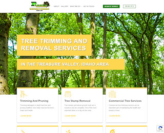 Tree Removal Company Boise