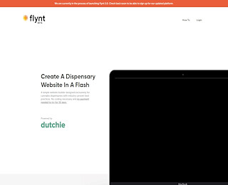 tryflynt.com